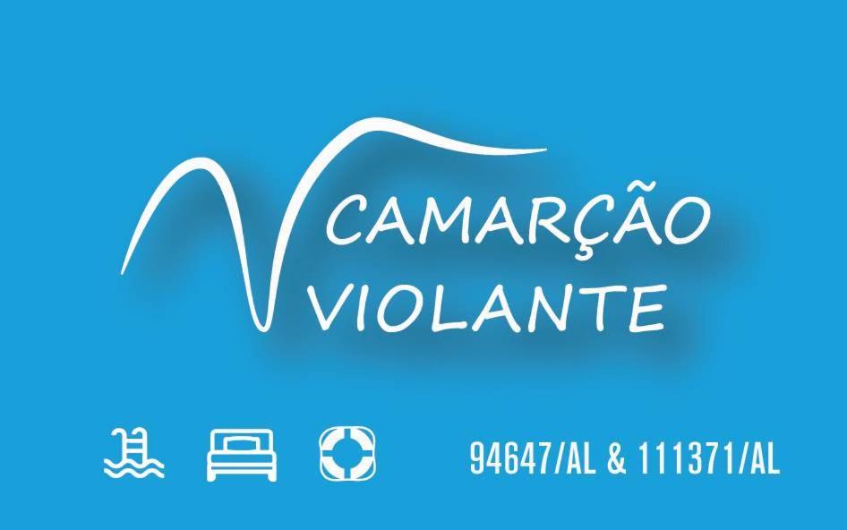 Camarcao Violante Apartment Фож-ду-Арелю Екстериор снимка